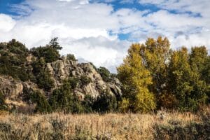 picture of a ranch pasture