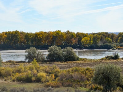 Yellowstone River frontage with trees turning for Fall