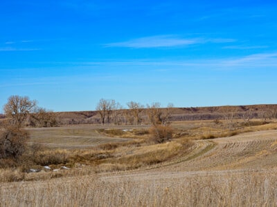 Farm property for sale near Hysham, Montana with wildlife and bird habitat.