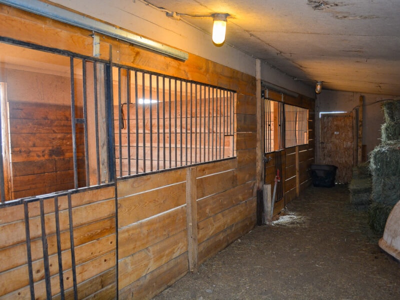 Horse barn with stalls.